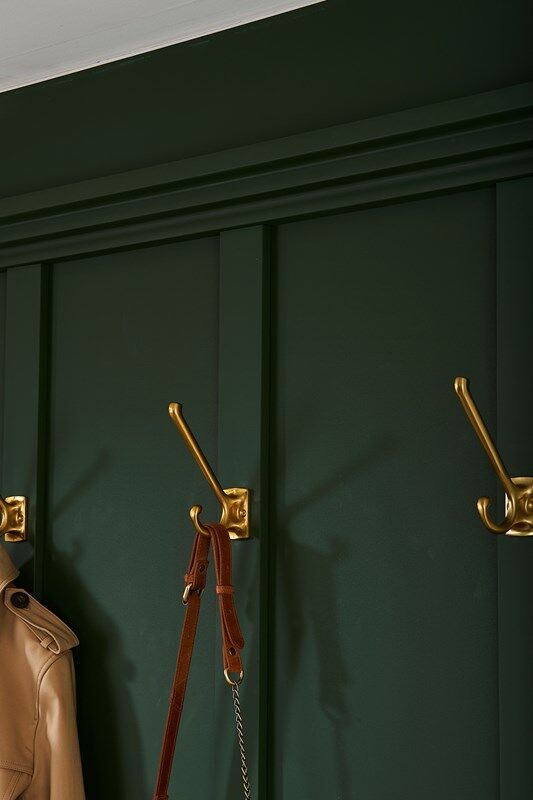 Dark green wall panel with gold coat hooks, beige coat and brown leather leash, nmc 02 002565