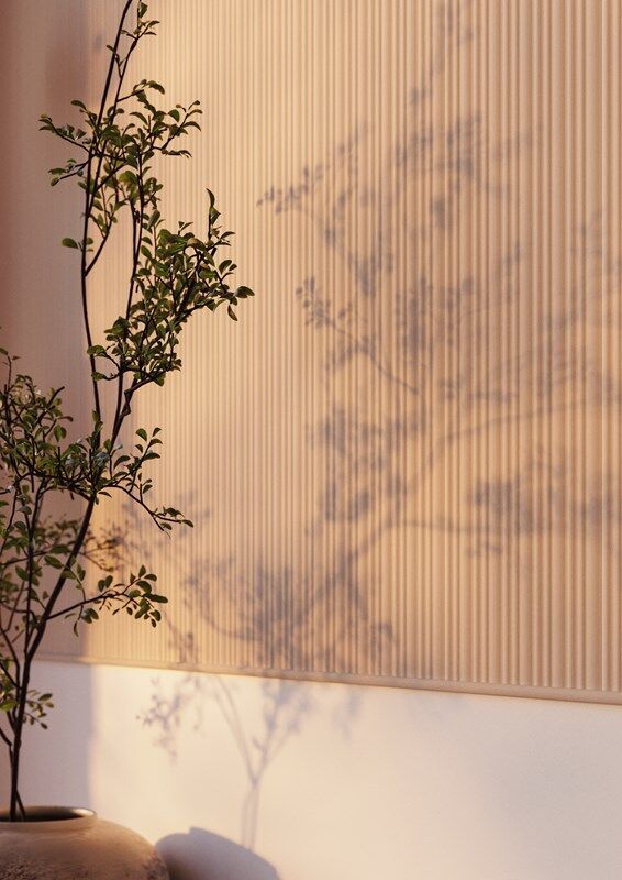 NMC 02 005162 minimalist indoor plant shadows on a textured beige wall in natural sunlight