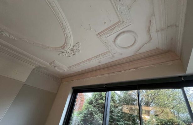 Maintenance of Coving and Cornice