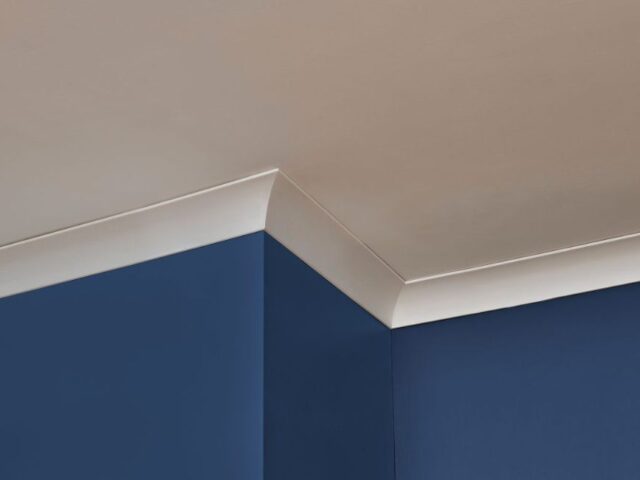 Coving Trade: Premium Products and Services for Professionals