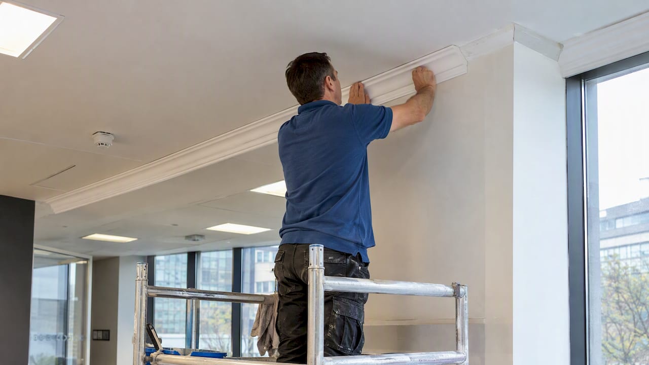 Installer fitting decorative coving in an office