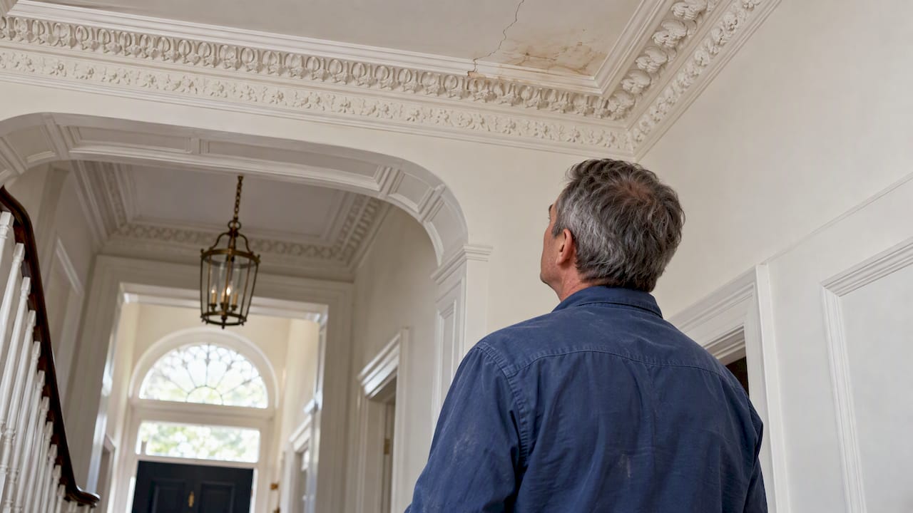 Conservation plasterer inspecting a damp-damaged cornice
